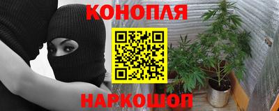 дживик Камышлов